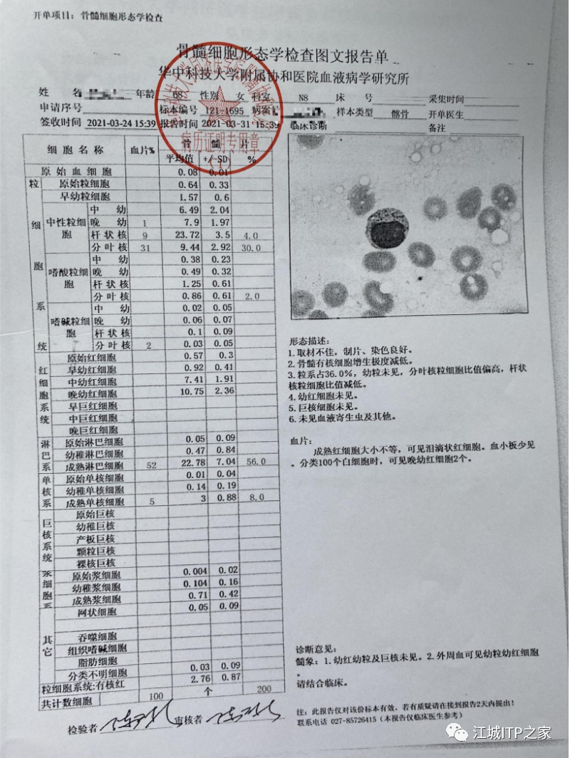 大咖谈病例 | 梅恒教授点评—肿瘤化疗后血小板减少症（CIT）病例解析-ITP家园