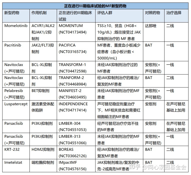 一文了解骨髓纤维化潜在的新型治疗策略