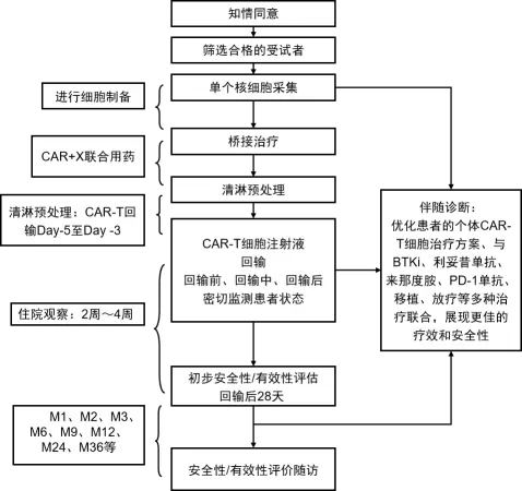 CAR-T细胞治疗全流程管理