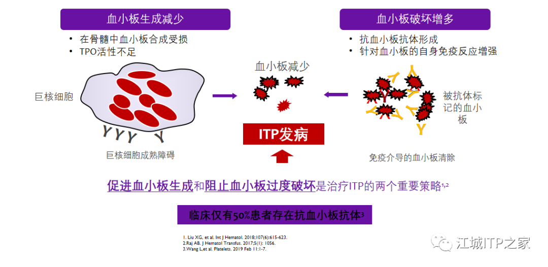 专家讲座 | 梅恒教授：成人原发免疫性血小板减少症诊治进展-ITP家园