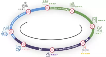 CAR-T细胞治疗全流程管理