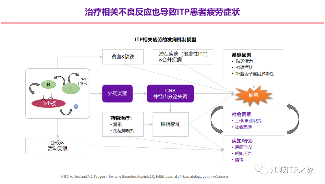 专家讲座 | 梅恒教授：成人原发免疫性血小板减少症诊治进展-ITP家园